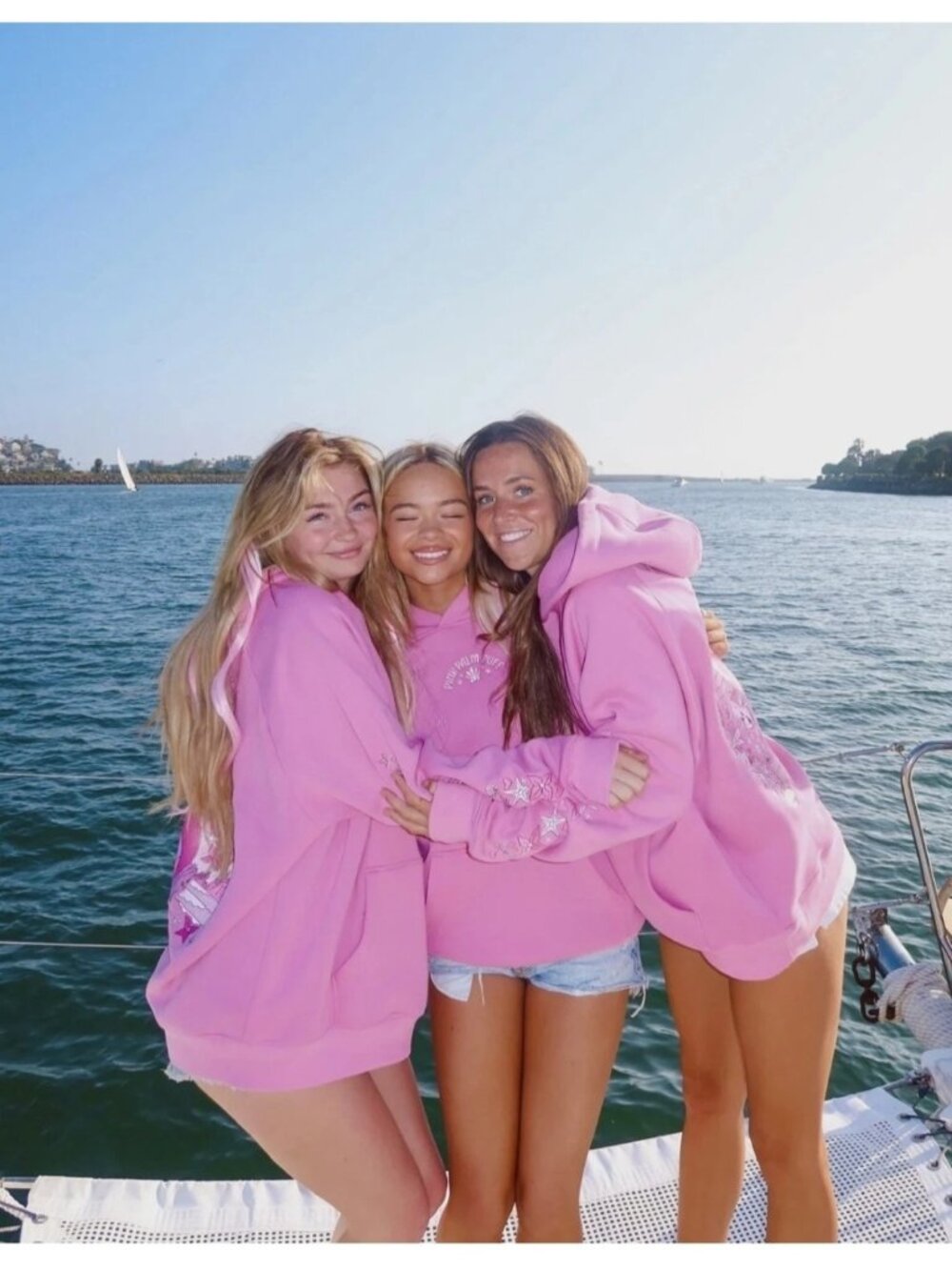 Pink Palm Puff Under The Sea Disney Ariel Pink Hoodie - Picture 9 of 11